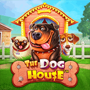 Nhà Của Chó game thumbnail
